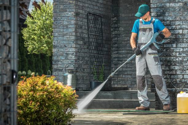 Best Animal Enclosure Cleaning  in Newaygo, MI
