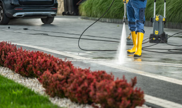 Best Gutter Cleaning  in Newaygo, MI