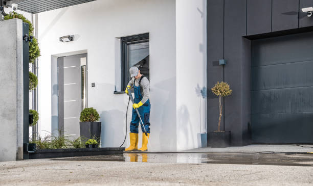Boat and Dock Cleaning in Newaygo, MI