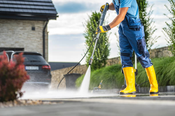 Best Fence Cleaning  in Newaygo, MI
